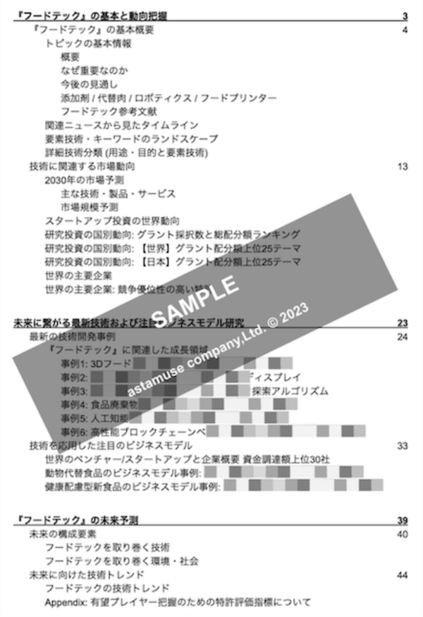 二次電池・全固体電池・キャパシタ R&D/知財戦略構築分析レポート目次